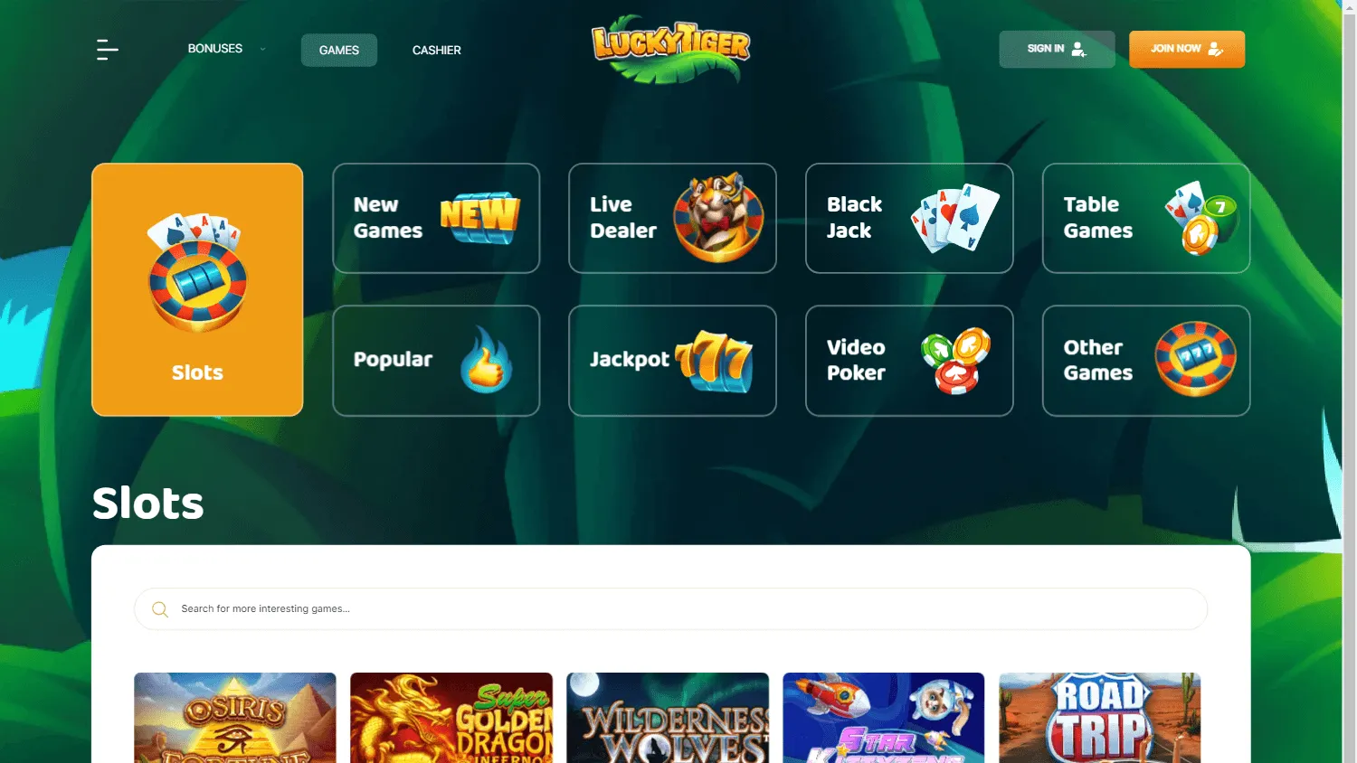 Lucky Tiger Casino desktop games experience
