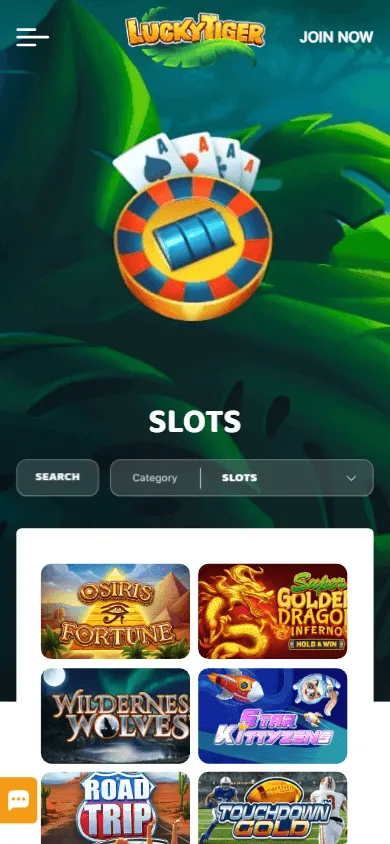 Lucky Tiger Casino mobile browser games experience