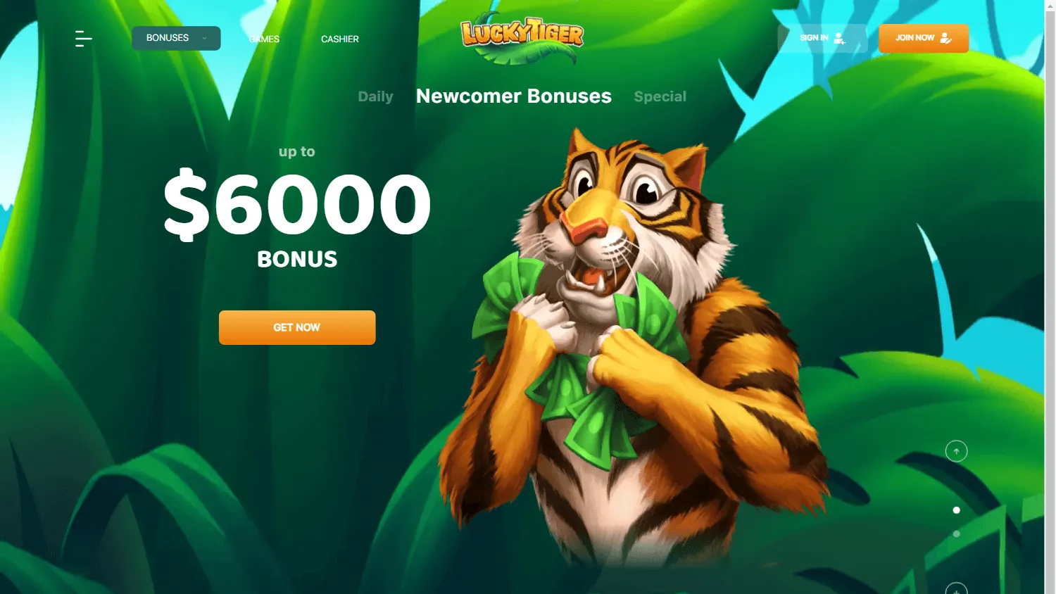 Lucky Tiger Casino desktop promotions experience